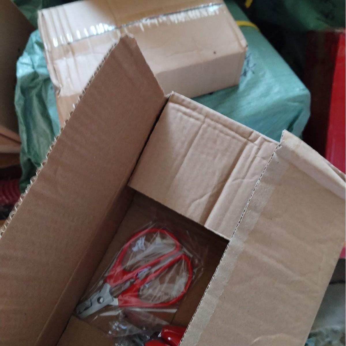 Multifunctional Nut Sheller and Seed Peeler: Shell Peanuts, Sunflower Seeds, and Crack Pine Nuts for Household Use