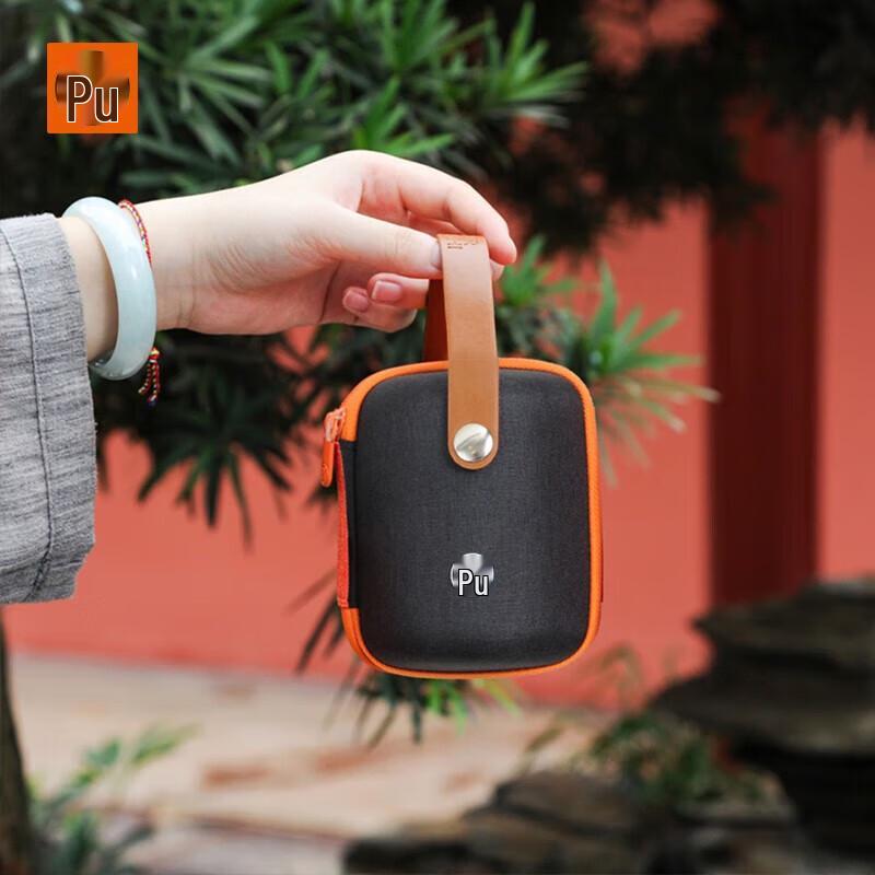 

PUSHI Zisha Portable Travel Tea Set