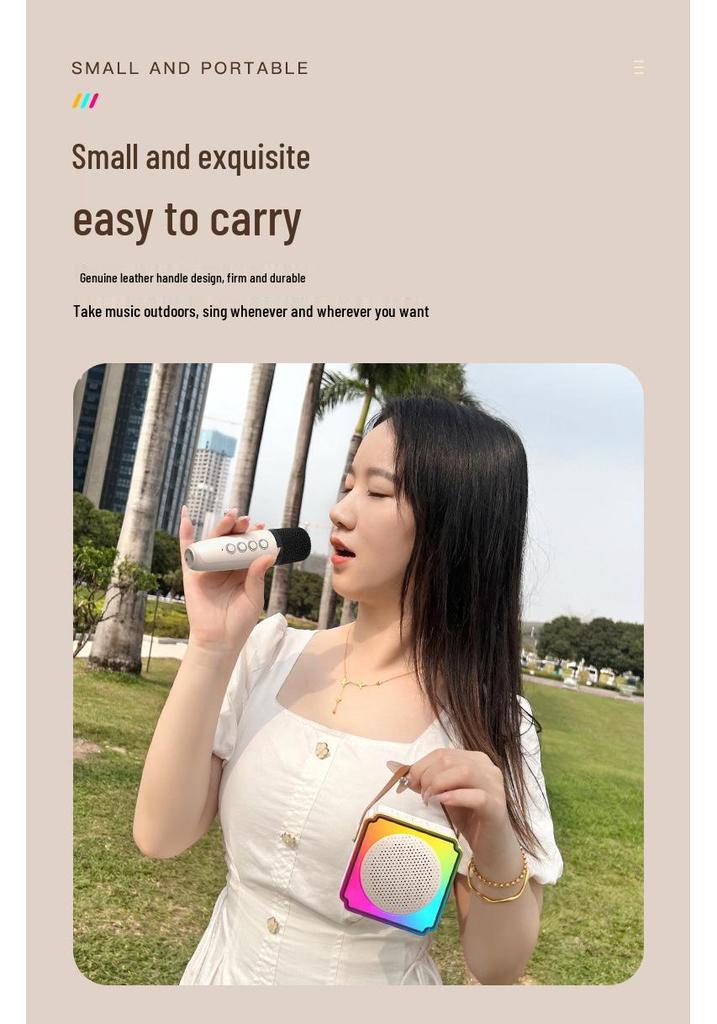 Private Mold P8 Bluetooth Wireless KTV Speaker & Kids' Microphone All-in-One for Home and Outdoor Use
