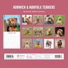Red Robin 2026 Norwich & Norfolk Terriers Monthly Wall Calendar | 12" x 24" Open | Premium Thick & Sturdy Paper | Hangable 12 Month Calendar | Lined