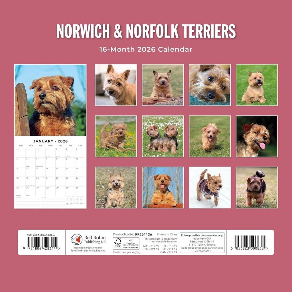 Red Robin 2026 Norwich & Norfolk Terriers Monthly Wall Calendar | 12" x 24" Open | Premium Thick & Sturdy Paper | Hangable 12 Month Calendar | Lined