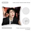 Cool Actor Zhang Linghe Cushion Cover Comfortable Reversible Pillow Cover Ideal For Car Sofa Bedroom & Beyond