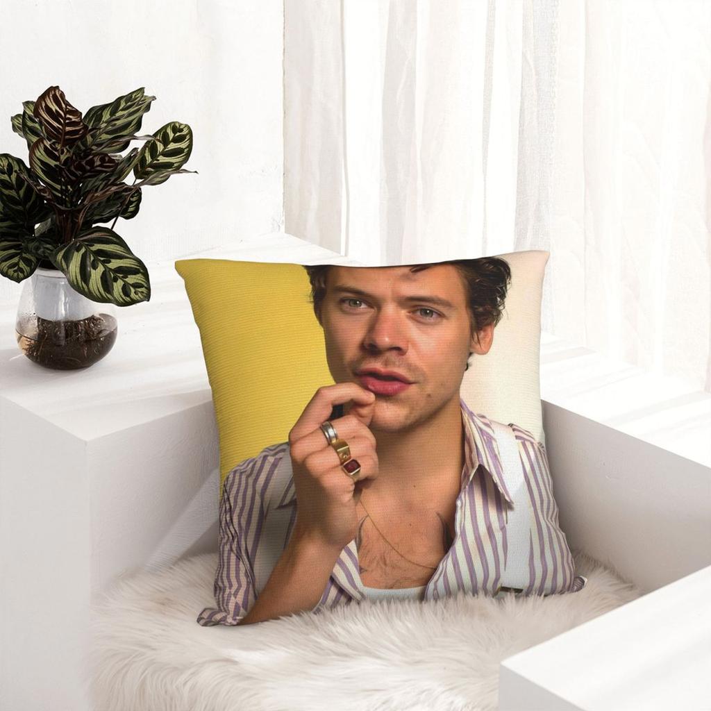 Federa Stampa Harrys Styles Poliestere Copricuscino Decorativo Copertura Cuscino Casa Dropshipping 40*40cm