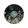 European And American Retro Records, Tin Paintings, Gardens, Flowers, Iron Plaques, Outdoor Fences, Wall Decorations