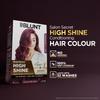BBLUNT Salon Secret Hochglanz Pflegende Haarfarbe Mit BondTech™ Für Starkes Glänzendes Haar - Weinrot Tiefburgund 4.20