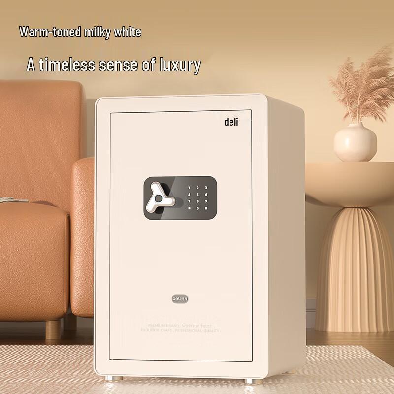 Deli Home Office Fingerprint Password Safe