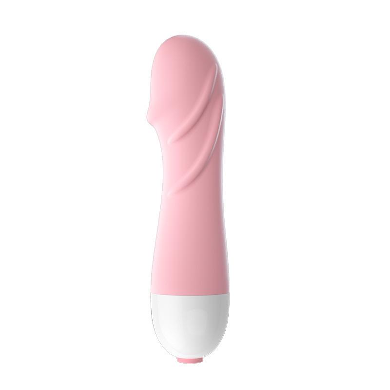 Lelo Dual-Ended Waterproof Rechargeable Vibrator & Clitoral Stimulator for Women