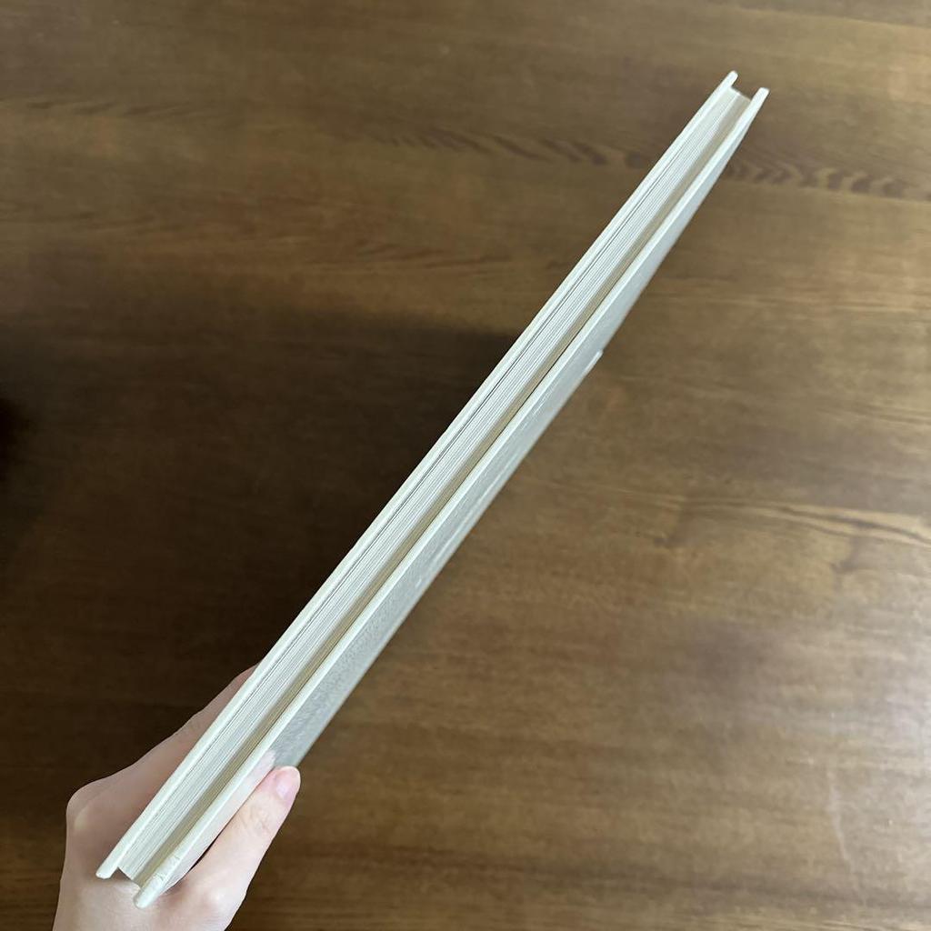 [USED] Renoir Degas World Art Collection 12 Art Book with Explanations