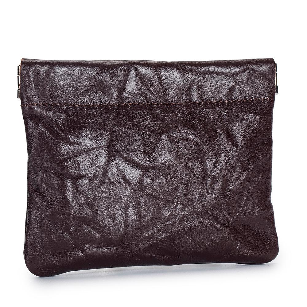 Exquisite Spring Clip Mini Storage Bag for Earphones, Lipstick, and Coins
