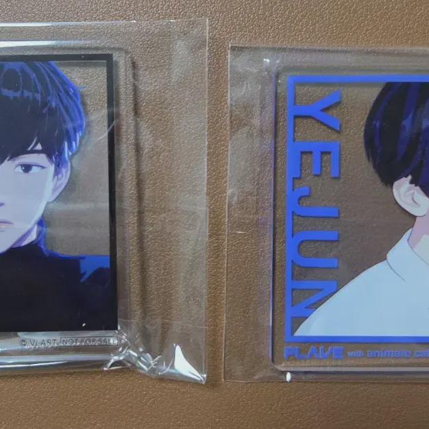

Plave Animate Collabo Cafe 50,000 Won Bonus Acrylic