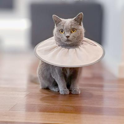 Cat Elizabethan Adjustable Collar Pet Dog Neck Cone Recovery Collar Anti-bite Protective Medical Neck Ring Pet Recovery Collar