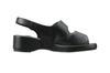 Pansy BB5303 Office Black Sandals, Medium,