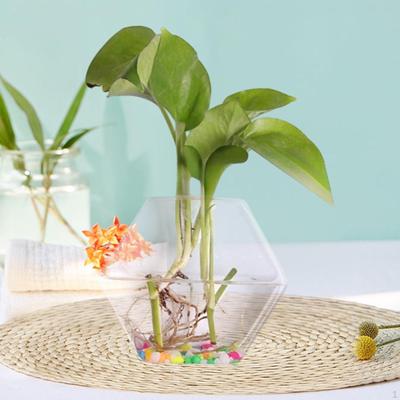 Wall Planter Garden Decor Easily Install for Indoor Plant Glass Vase Hanging Mom Air Plants