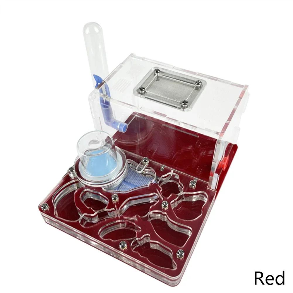 DIY Acryl Flat 3D Ant Farm Ant Nest with Feeding Area Ant House Insect Villa Pet Anthill Workshop with Moisturizing Water Tower
