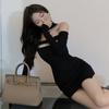 Women's Dress Halter Hollow Out Long Sleeves Dress Spring  Autumn