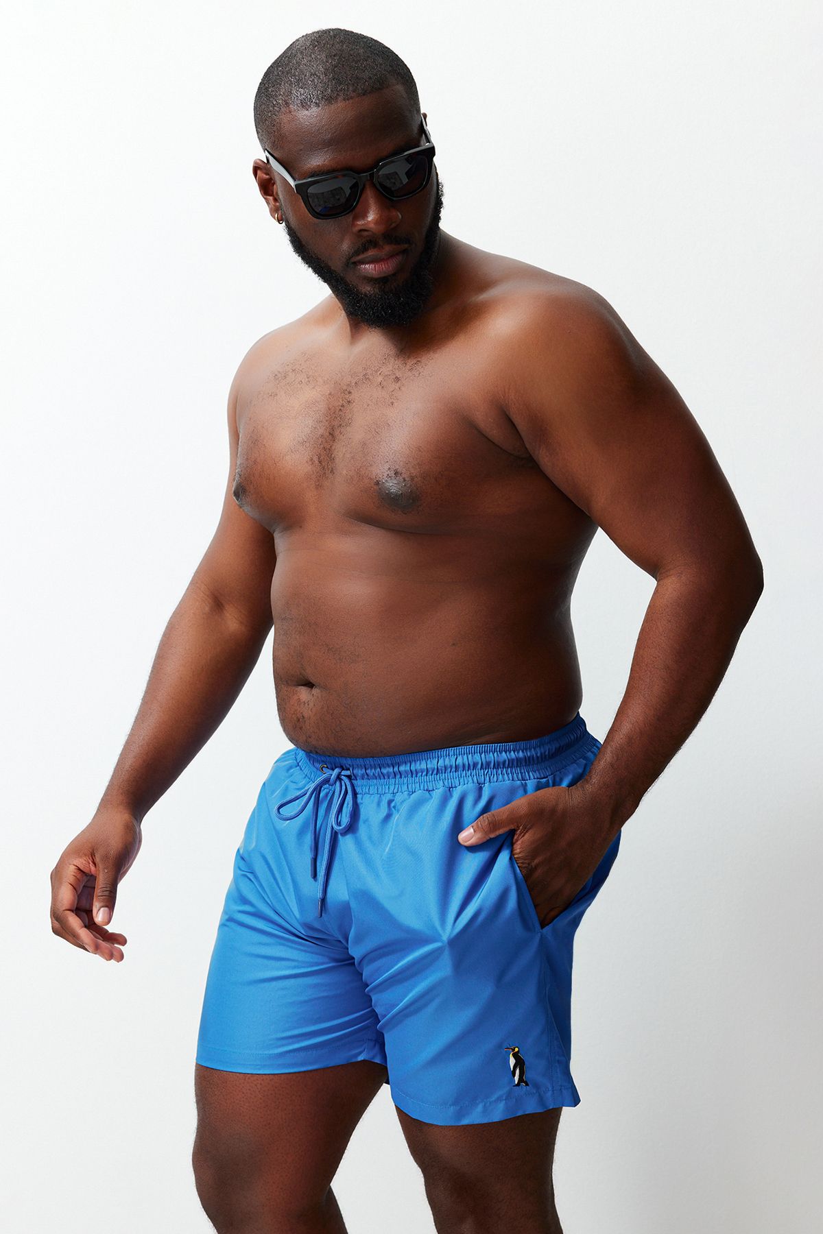 

Men s Style Plus Size Blue Embroidered Plus Size Swim Shorts