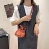 Small Nylon Shoulder Bag Korean Style Dumpling Bag Cute Canvas Messenger Bag  Office Worker