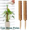 DIY Modeling Plant Climbing Rod Climbing Vine Coconut Palm Rod Can Be Bent and Shaped Moss Rod Green Dill Gardening Pillar