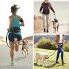 Multifunctional Sports Waist Bag for Running, Fitness, Dog Walking, and Outdoor Activities