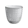 Self-Watering Transparent Flower Pot For Indoor Plants, Bonsai, Succulents And Herbs Indoor Flowers Plant Care Accessories