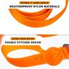 Embark Pets Adventure Leash for Dogs, Orange, 150cm (length) x 2.5cm (width)