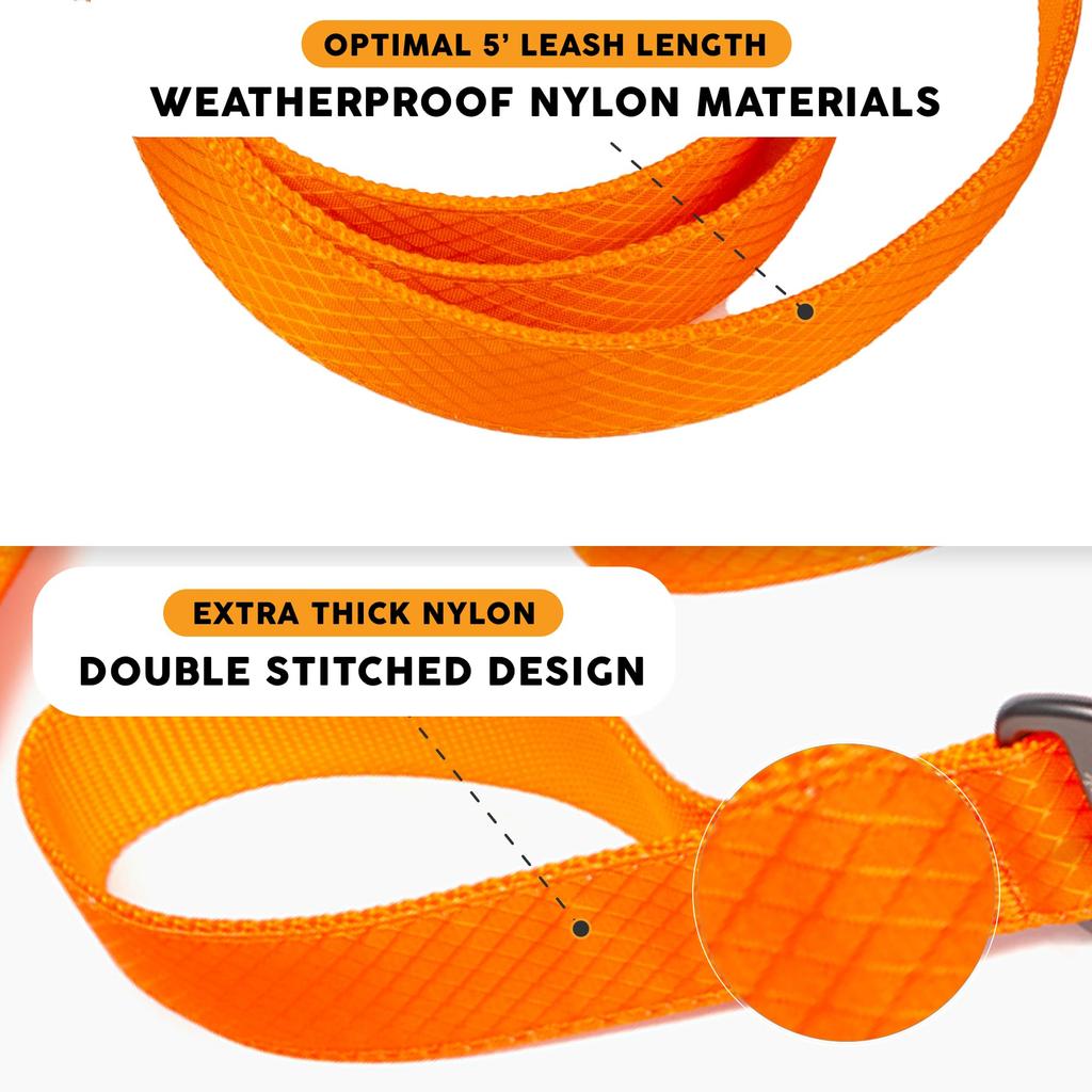 Embark Pets Adventure Leash for Dogs, Orange, 150cm (length) x 2.5cm (width)