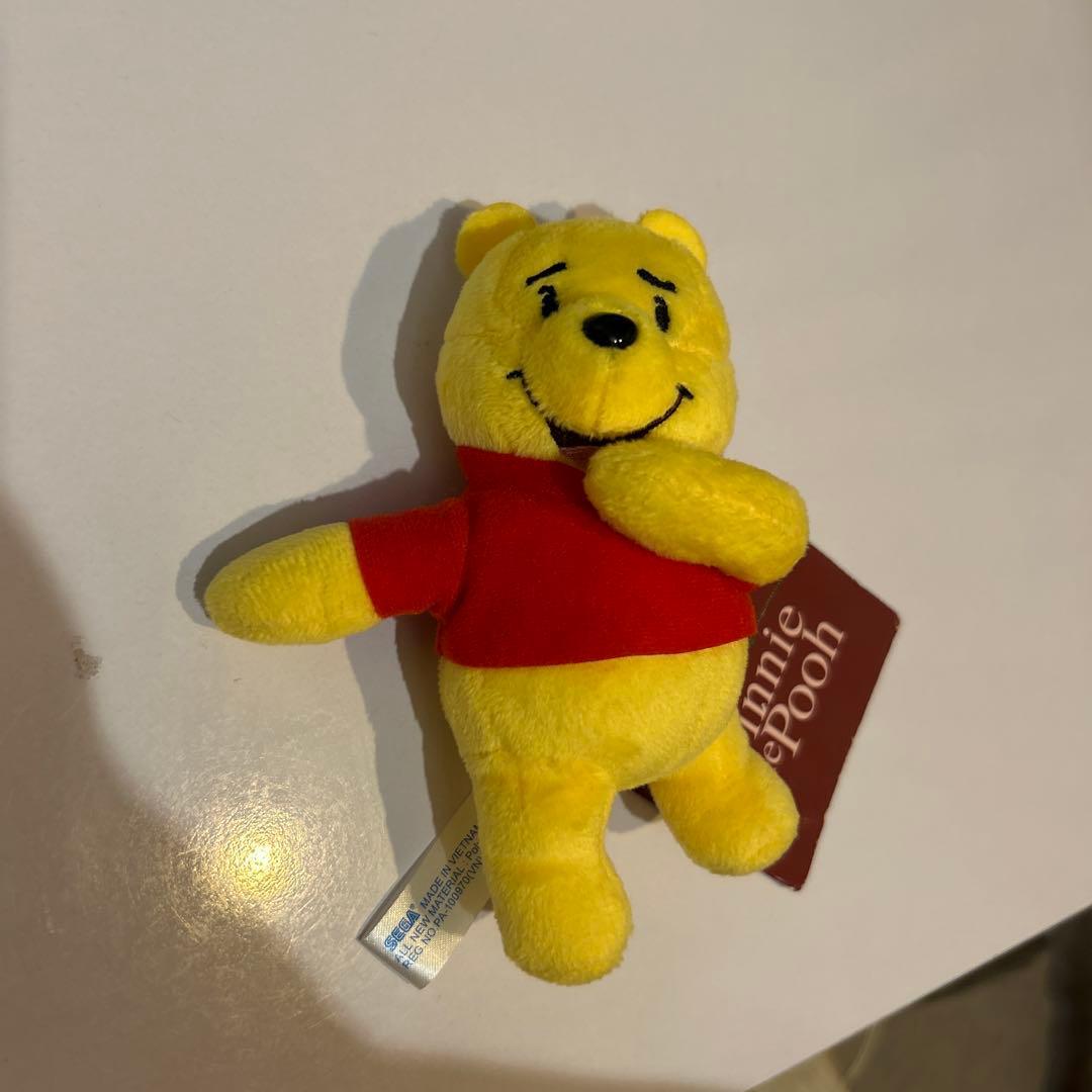 Winnie the Pooh Mascot Funny Ver.