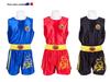 Embroidered Dragon Sanda Muay Thai Boxing and Fighting Suit Set