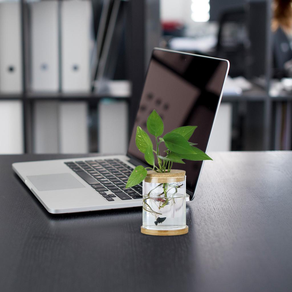 4 Stück Hydroponik-Vase Holzdeckel Hohl Design Pflanzenbelüftungsabdeckung Glas-Pflanzengefäß-Deckel Büro Schreibtisch Bücherregal Dekor