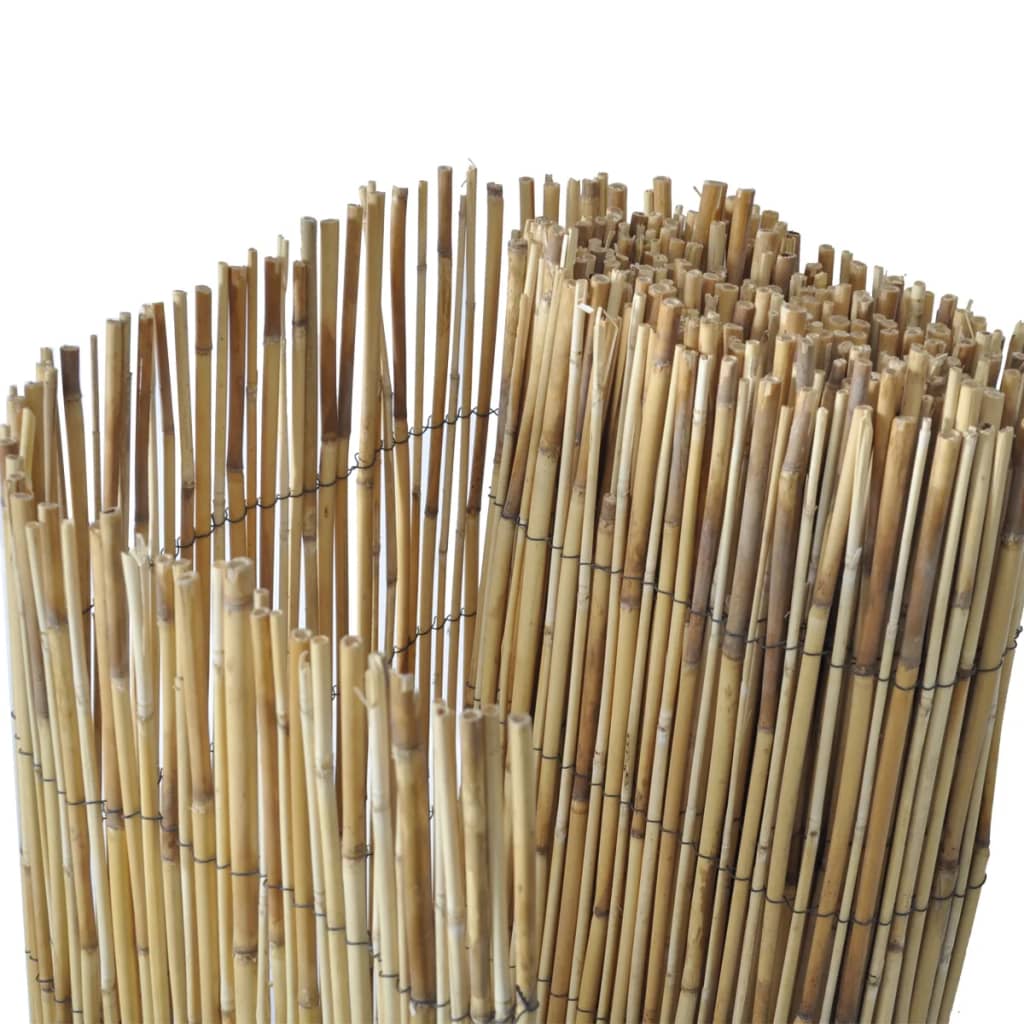 Vidaxl Recinzione di Canne, 500 X 100 Cm