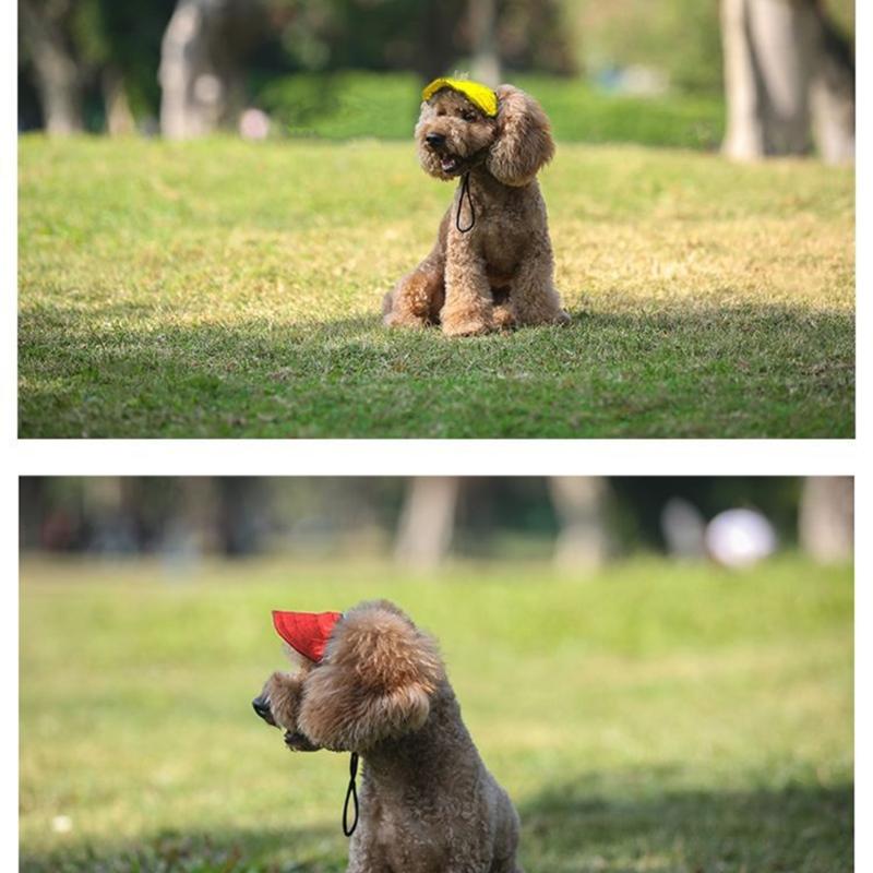 Adjustable Dog Hat Sun Protective Baseball Hat with Ear Hole For Pet Outdoors Adventure Family Photography Occasion