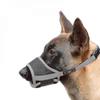 Cães – Produtos para treino de animais