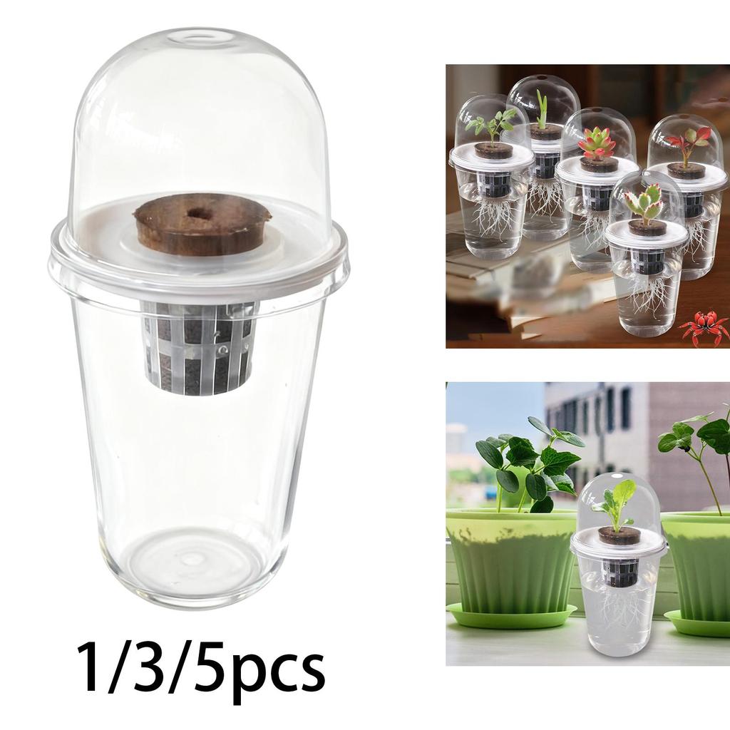 Kit Vaso per Coltivazione Idroponica Set Completo per Germinazione Piante per Balcone Lattuga Barbabietola Colza Prato e Giardino Didattica