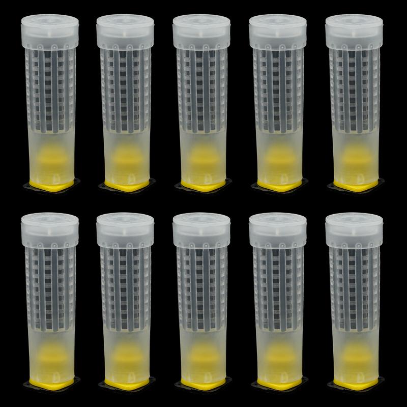 100Set/lot Beekeping Tool Rearing Cup Kit Queen Bee Hair Roller Cages W/ Cell Cup Holder and Cell Fixtures Beekeepers Equipment