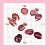 fwee Rose Obsession Stay-fit Lip Tint (18 Colors)