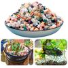 500/1000g Aquarium Dekoration Stein Natürlicher Regenblumenstein Bodensand für Aquarium Luftpflanze Dekoration DIY Bunte Steine TMZ