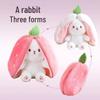 Popular Strawberry & Carrot Rabbit Plush Toy - Children's Birthday Gift