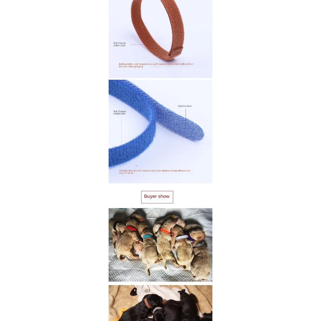 12Pcs/Set Puppy Collars Adjustable Nylon Newborn Pet Color Collar Small Pet Dog Collars Kitten Necklace Marker Rope Pet Supplies