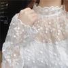 A/W 2026 Women's Stylish Mesh Lace Shirt with Bell Sleeves and Half-High Collar