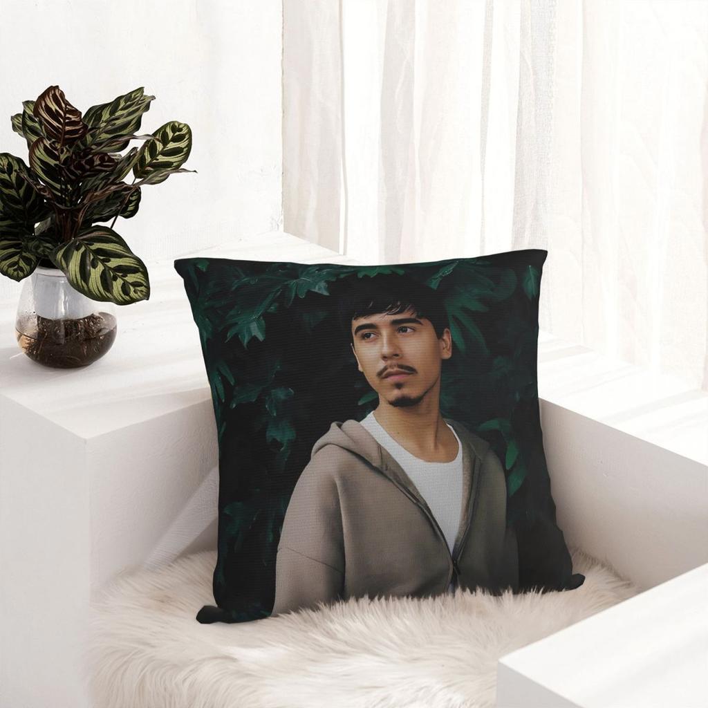 Pillow Cover Handsome Ivan Singer Cornejo Custom Diy Cushion Cover Retro Pillow Case For Chair Sofa Home Decoration Pillowcases
