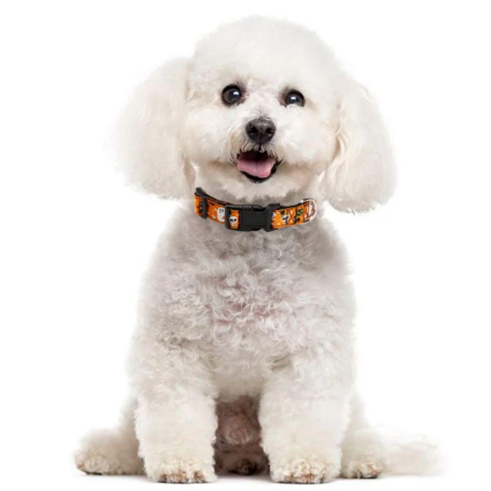 Adjustable Pet Pumpkin Skull Collar Quick Release Dog Traction Rope  for Dogs Cats