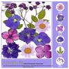 Handmade Pressed Flower Bookmark and Epoxy Sticker Pack with Real Leaf and Plant Specimens for DIY Face Makeup.