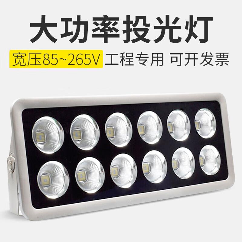Bingfu Outdoor LED Flood Light