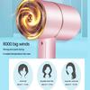 1600W Professional Salon Hair Dryer 2 In 1 Hot Air Brush Hair Dryers Negative Ionic Hair Blow Dryer Strong Wind Hot Dryer
