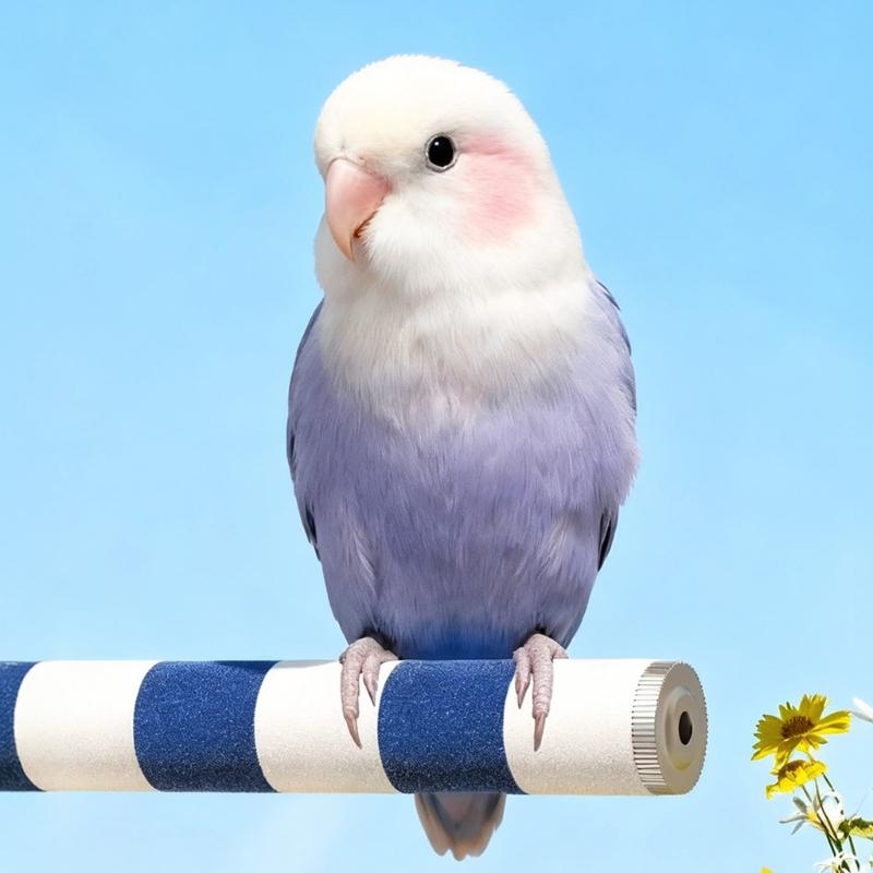 2pcs Textured Avian Claws Trimmers Stand Natural Ceramic Grooming Perches for Parrots Cockatiels