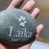 Outdoor Pet Memorial Tombstone - Engraved Pebble for Dogs
