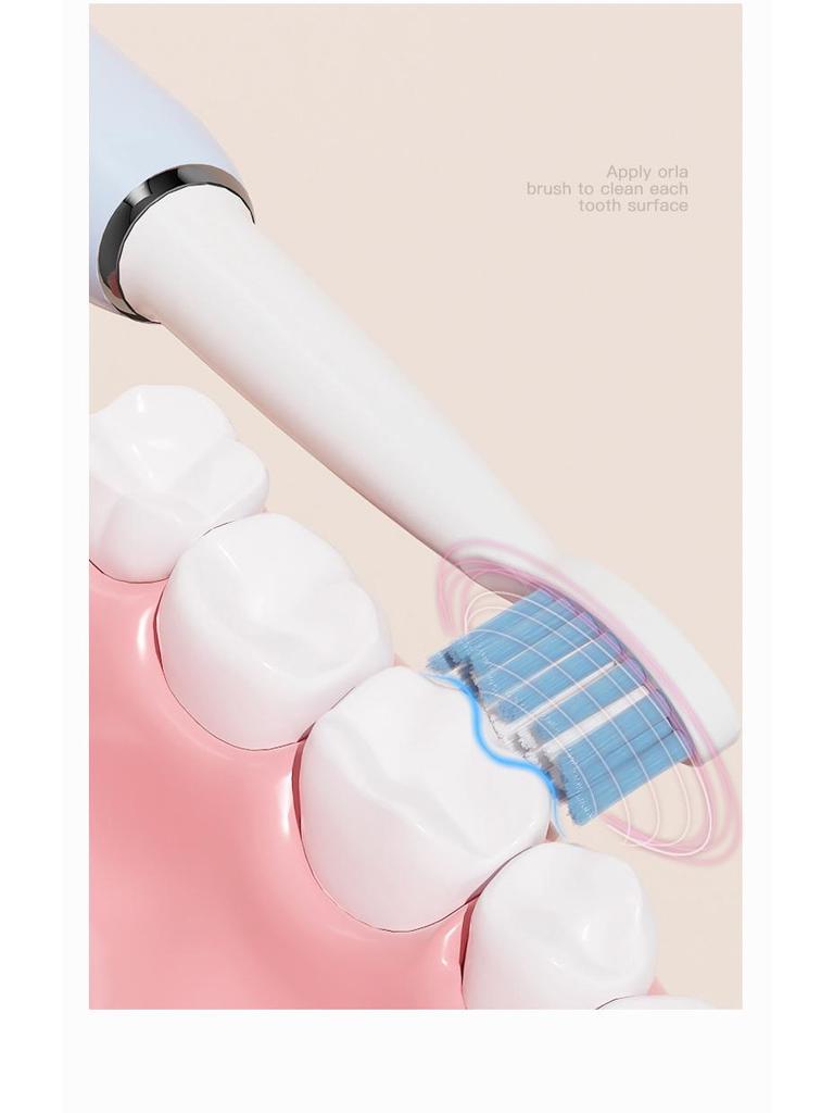 Adult Three-Speed Soft Bristle Sonic Electric Toothbrush with USB Charging