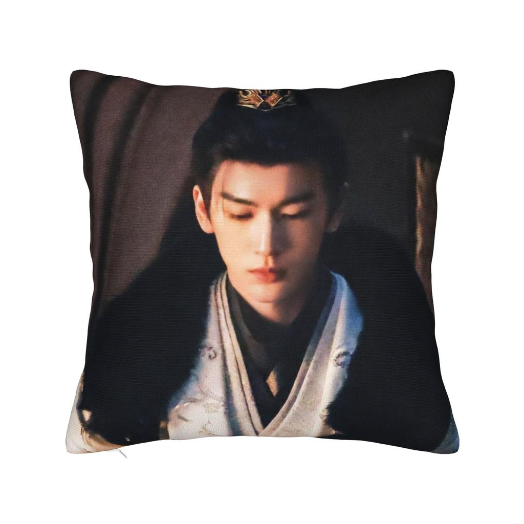 Tv Pursuit Of Jade X-Xie Zheng Z-Zhang Linghe Pillow Cover Print Cushion Cover Retro Trendy Pillow Case For Sofa Home Decor