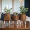 Indoor Rattan Flower Stand Triangular Bracket Pot Desktop Creative Succulent Storage Container Office Decorative Planter