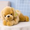 Cute Large-sized Pet Dog Pillow, Lunch Break E-commerce Doll, Golden Retriever Plush Toy Dog Doll